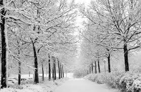 WINTER-TIME!